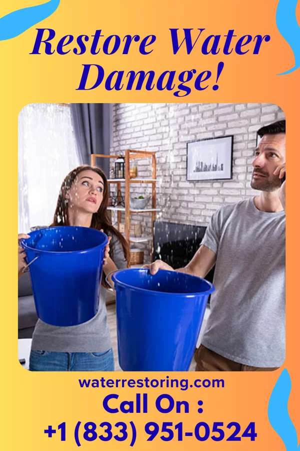 water restoration Rapid Cleanup Contractors Hampton